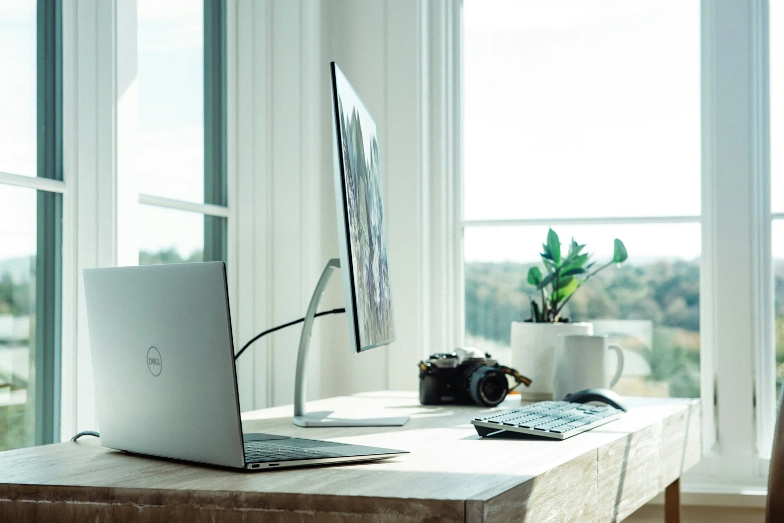 A real contemporary office with connected desks and displays